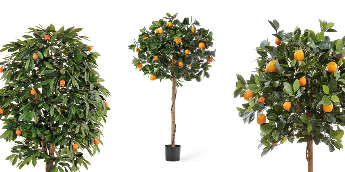Искусственные мандариновые деревья – часть экзотики в вашем интерьере