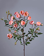 Роза садовая(1) ветвь св.розовая 67 см