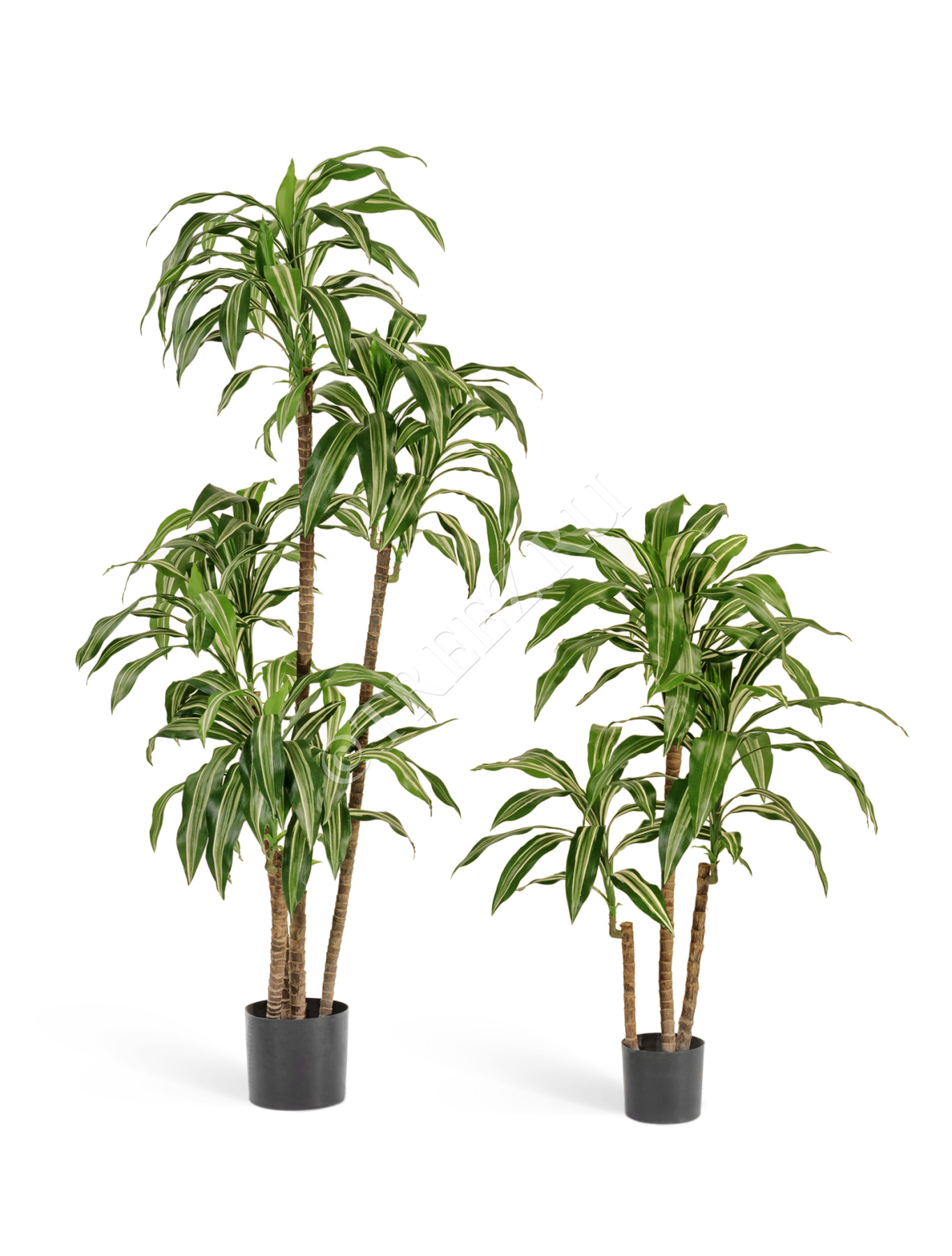 Әйел үстемдігі пигерлік порно көру Анямен үйдегі жеке порно