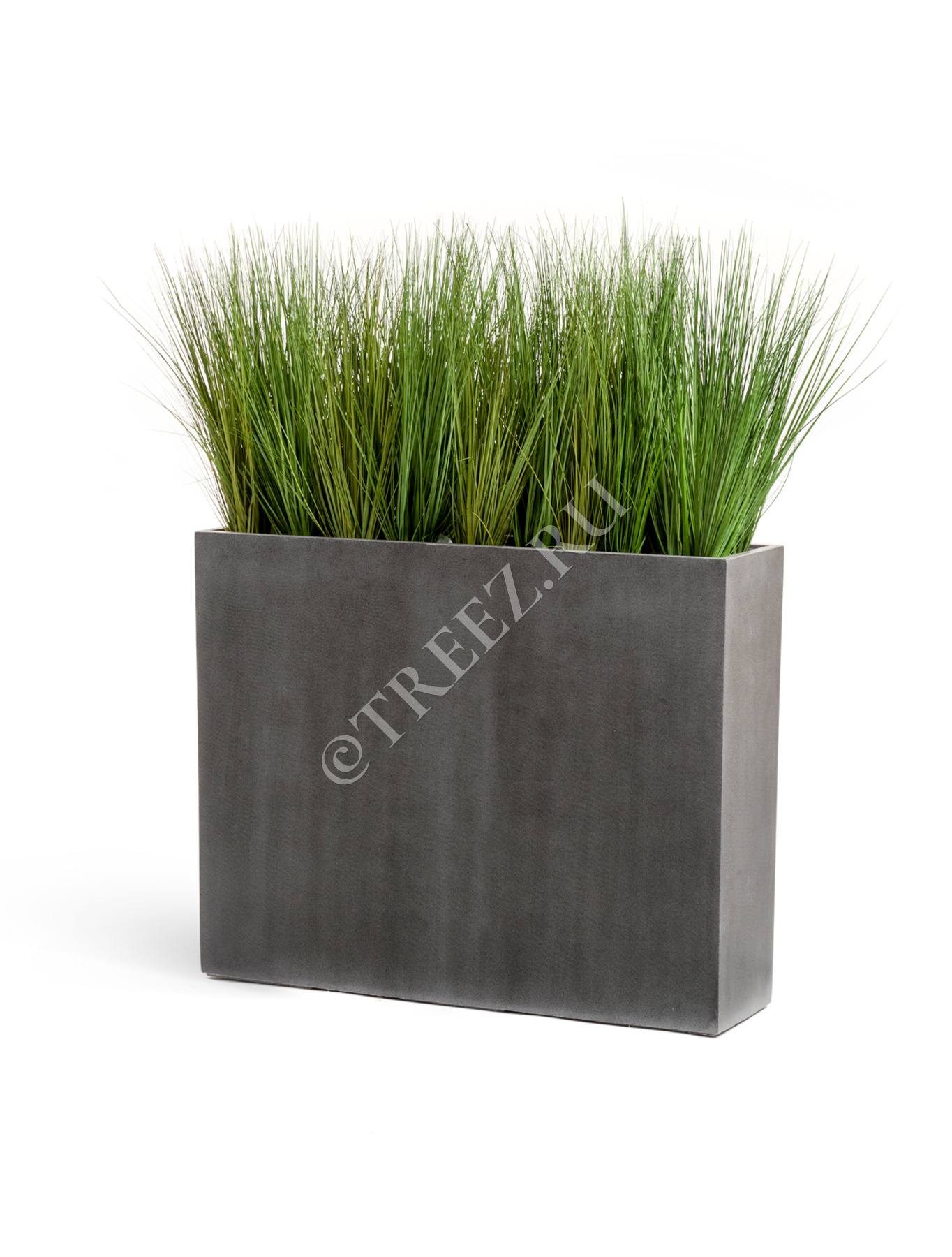 邦楽 CONCRETE GREEN 3 邦楽 CONCRETE GREEN 3 CONCRETE GREEN 3 SEEDA AND DJ ISSO 邦楽