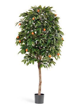 Мандарин Оранж