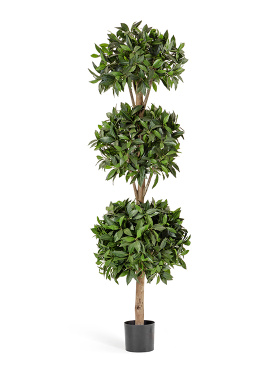 Лавр шар тройной 180 см