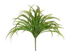 Трава Ванилла Грасс зеленая с бордо