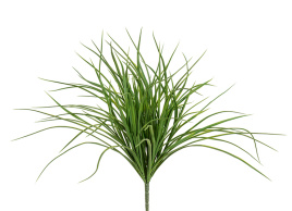 Трава Грасс Лонг куст