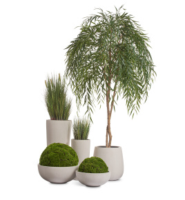 Сет № 43 - Композиция с Ивой и Шарами из Мха в кашпо Treez Effectory Beton Белый песок