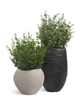 Сет № 69 - Композиция с эвкалиптом в кашпо Treez Effectory Organic