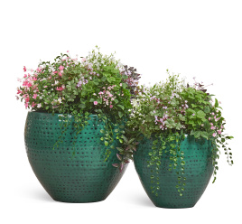 Сет № 97 - Композиция с альпийскими травами в кашпо Treez Effectory Ron