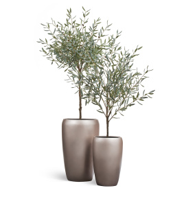 Сет № 103 - Композиция с оливами Prime в матовых кашпо Treez Effectory Metal