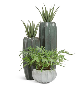 Сет № 124 - Композиция с алоэ и папоротником в кашпо Treez Effectory Aura