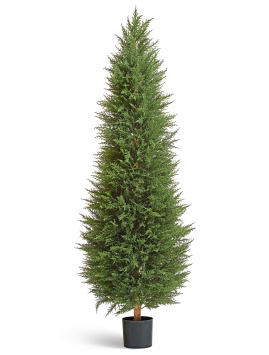 Кипарис Тауэр Элегант уличный