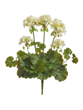 Герань кремовая цветущий куст (UV-фильтр)