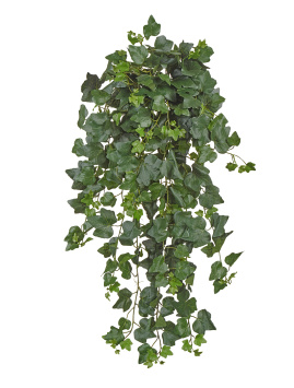 Английский плющ (серия FR - огнезащита)