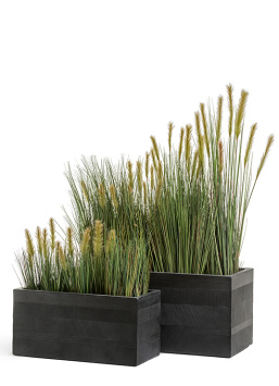 Кашпо TREEZ ERGO - Graphics - Низкий прямоугольник - Чёрный графит