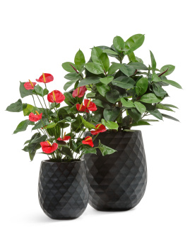 Кашпо TREEZ ERGO - Diamond - Округлая чаша - Антрацит