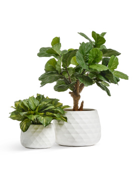 Кашпо TREEZ ERGO - Diamond - Низкая чаша - Белый камень