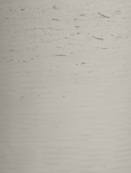 Кашпо TREEZ ERGO - Concrete - Низкий цилиндр - Белый песок