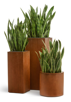 Кашпо TREEZ Effectory - Corten Steel - Цилиндр - Кортеновская сталь-Бархатистая окись