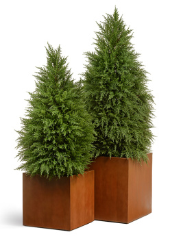 Кашпо TREEZ Effectory - Corten Steel - Куб - Кортеновская сталь - Бархатистая окись