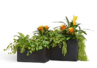 Кашпо TREEZ Effectory - Black Stone - Низкий прямоугольник - Антрацит