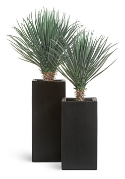 Кашпо TREEZ Effectory - Black Stone - Высокий куб - Антрацит