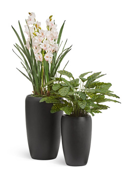 Кашпо TREEZ Effectory - Black Stone - Высокий округлый конус - Антрацит