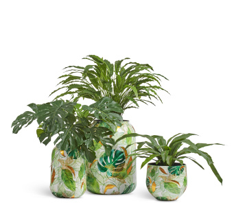 Кашпо TREEZ Effectory - Savage Garden - Чаша - Botanical