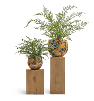 Кашпо TREEZ Effectory - Savage Garden - Чаша - King