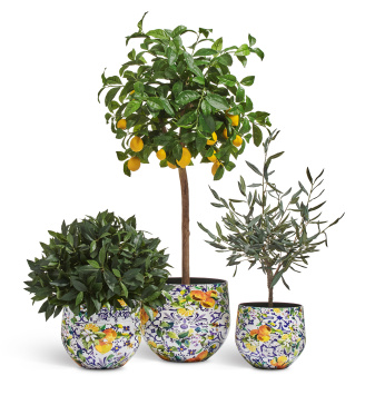 Кашпо TREEZ Effectory - Savage Garden - Чаша - Capri