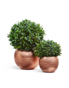 Кашпо TREEZ Effectory - Metal - Полусфера - Розовая медь Чеканка