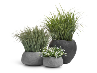 Сет № 27 - Лемонграсс и Альпийское разнотравье с белыми цветами в кашпо Treez Effectory Organic