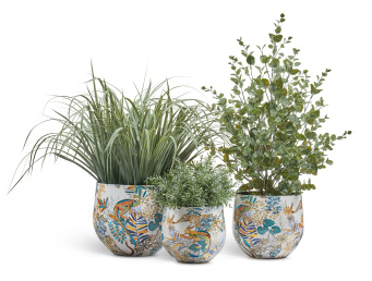 Сет № 50 - Композиция с Эвкалиптом и Лемонграссом в кашпо Treez Effectory Savage Garden