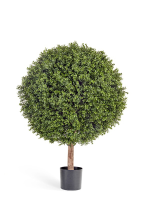 Самшит Шар-Гигант уличный в-120 см 10.445XXL – купить в Москве