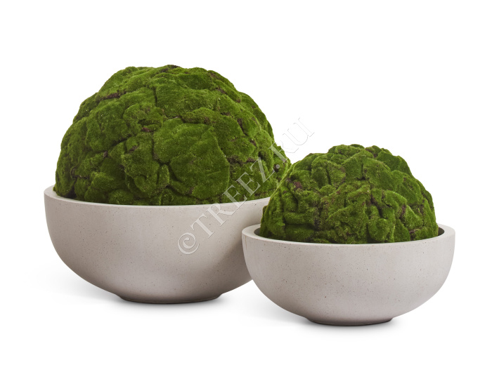 Шар из мха (Арт-объект) фото