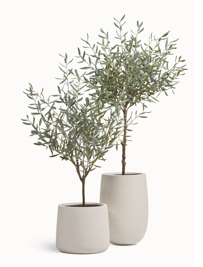 Олива Топиари Шар (серия Prime) фото