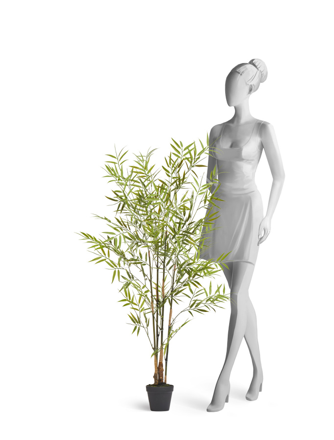 Бамбук японский Style (с UV-фильтром)  фото