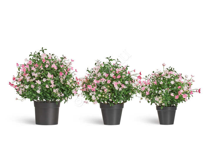 Альпийское разнотравье с нежно-розовыми и белыми цветами (3 размера) фото