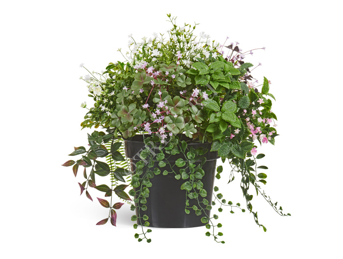 Цветущее разнотравье куст фото