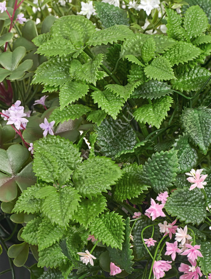 Цветущее разнотравье куст фото