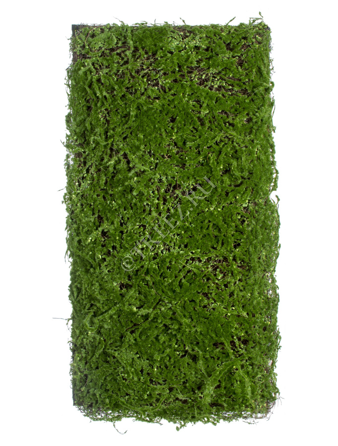 Мох Микс Рясковый-Сфагнум (полотно) фото