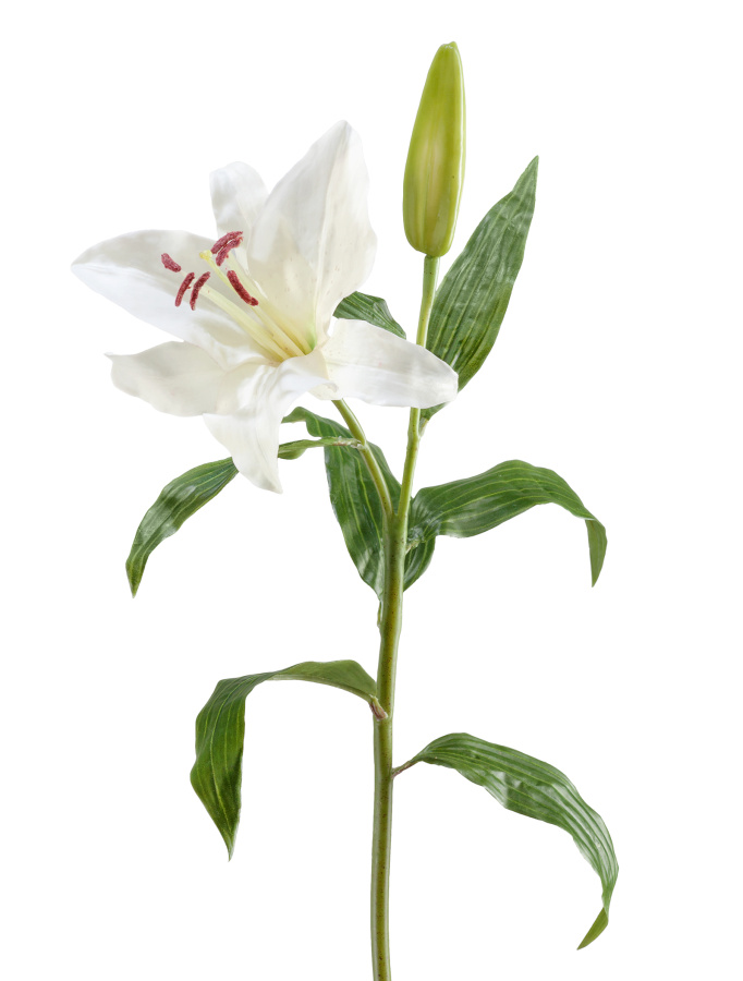 Лилия белая в-63, д-14 см 1цв 1 бут фото