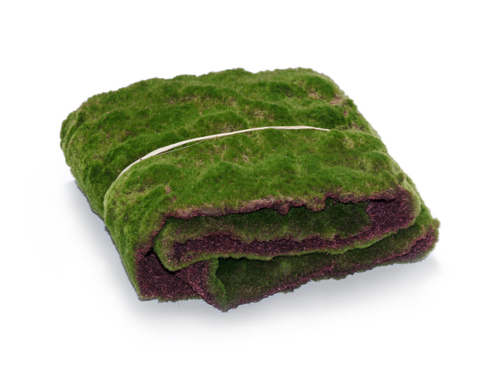 Мох в рулоне фото