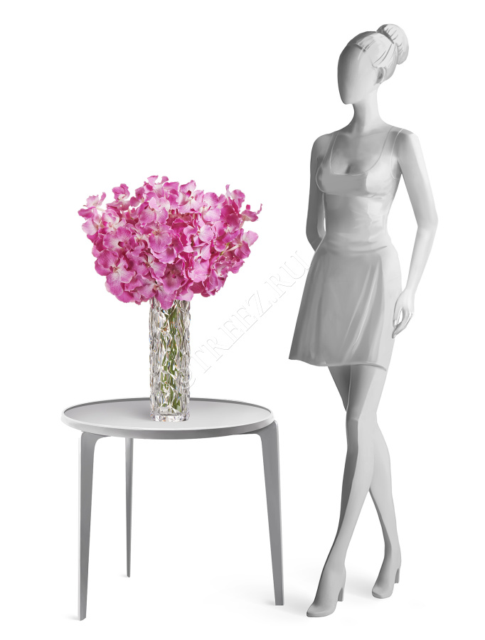 Орхидея Ванда с ярко-сиреневыми прожилками фото