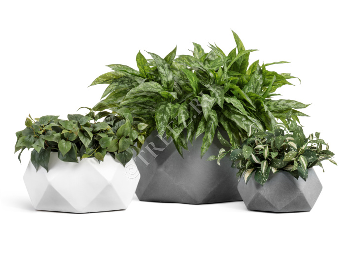 Кашпо TREEZ ERGO - Rombo - Низкая чаша-многогранник - Белый камень фото