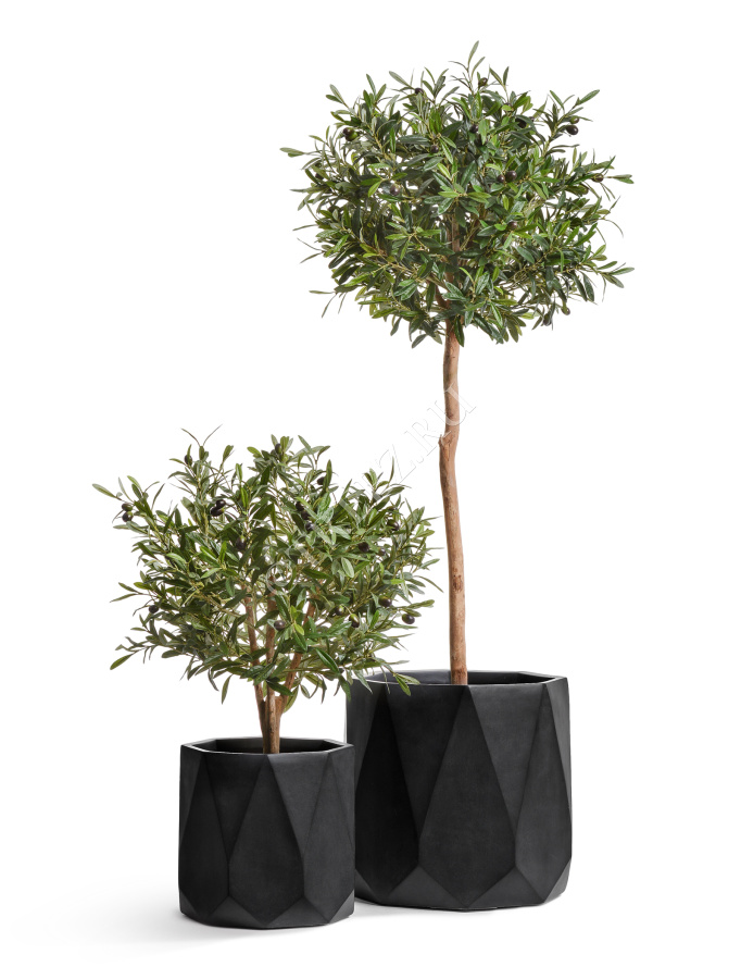 Кашпо TREEZ ERGO - Rombo - Цилиндр-многогранник- Антрацит фото