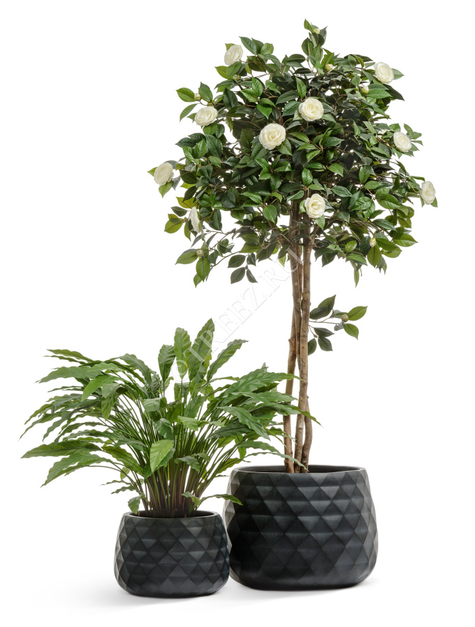 Кашпо TREEZ ERGO - Diamond - Низкая чаша - Антрацит фото