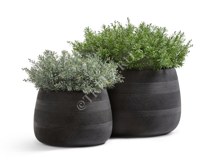 Кашпо TREEZ ERGO - Graphics - Низкая чаша - Чёрный графит фото