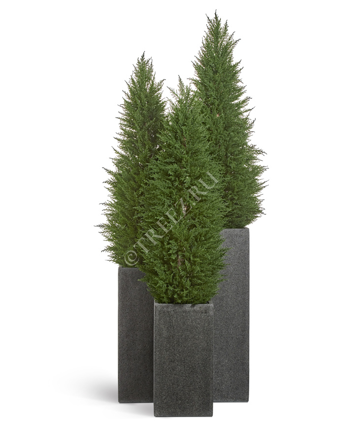 Кашпо TREEZ Effectory - Stone - Высокий куб - Тёмно-серый камень фото