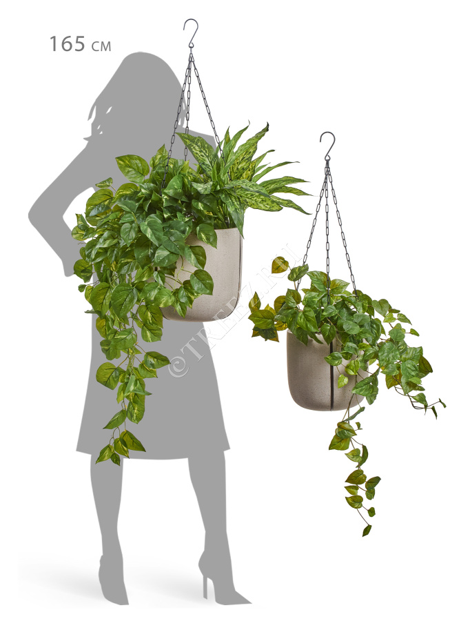 Кашпо TREEZ Effectory - Beton - Чаша подвесная - Белый песок фото