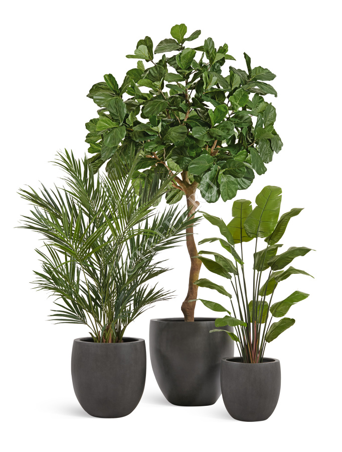 Кашпо TREEZ Effectory - Beton - Большой округлый конус - Тёмно-серый бетон фото