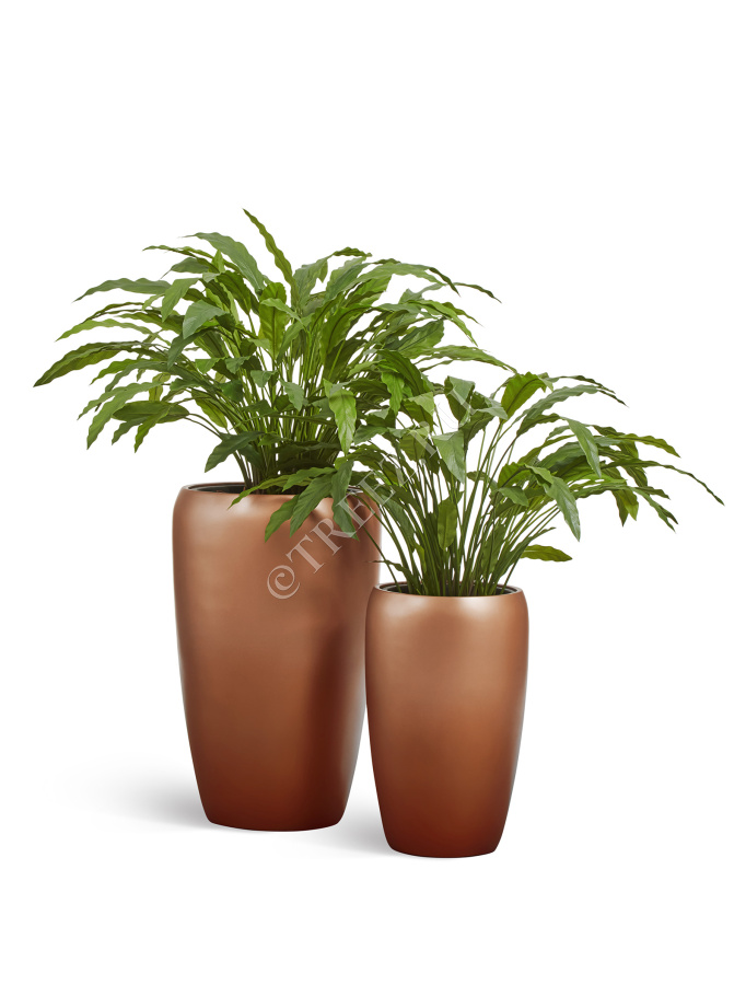 Кашпо TREEZ Effectory - Metal - Высокий округлый конус - Лаковое тёмное золото фото